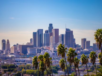 How Do You Sue the City of Los Angeles for Employment-Related Issues?
